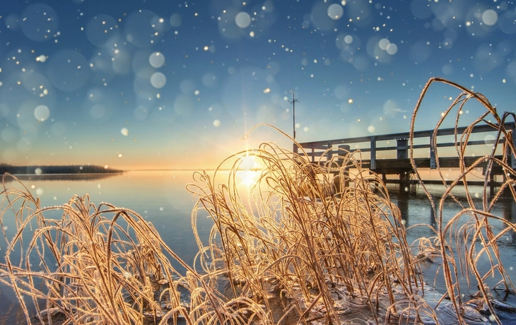 Winter am See