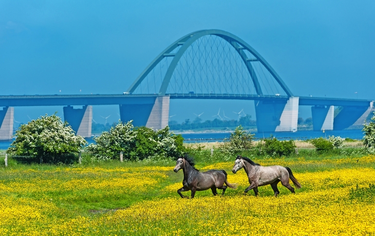 Fehmarnsundbrücke, Fehmarn