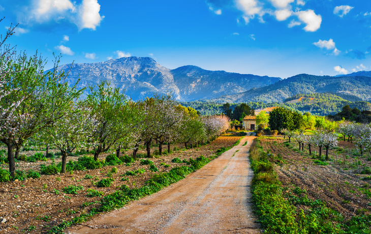 Landschaft von Mallorca