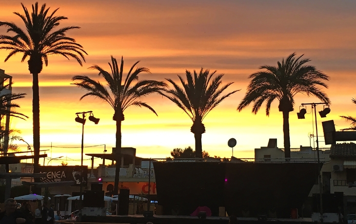 Abendstimmung am Pinienplatz