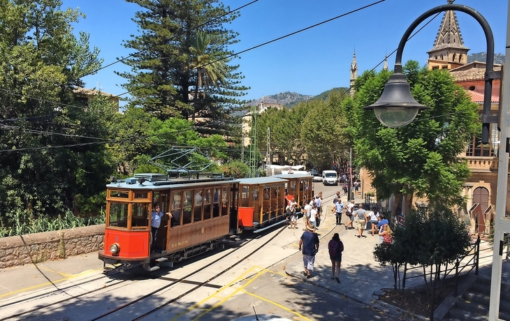 Soller