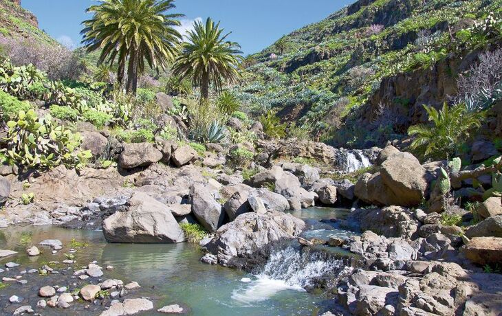 Gebirgsbach auf La Gomera, Kanaren