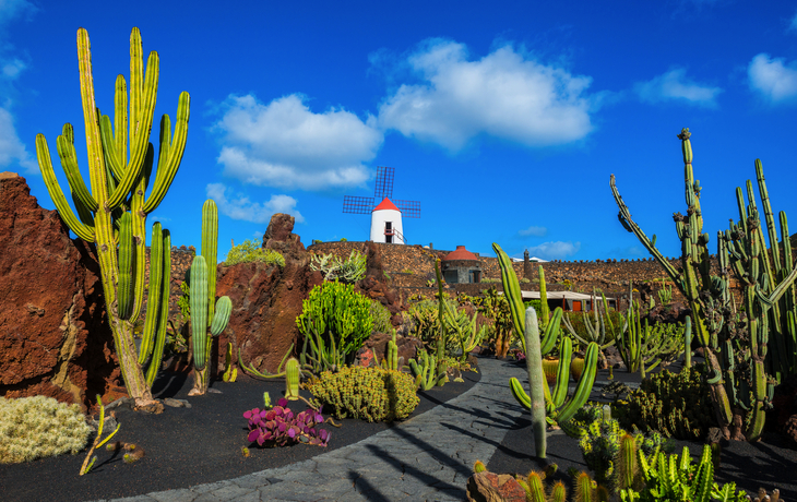 Jardín de Cactus, Lanzarote