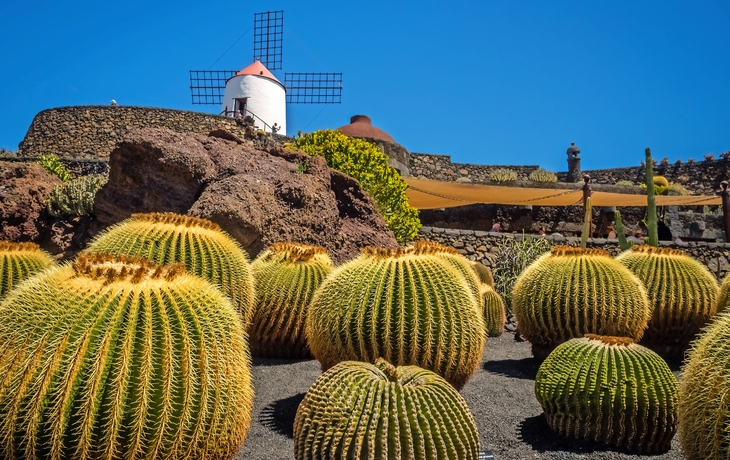 Jardín de Cactus auf Lanzarote