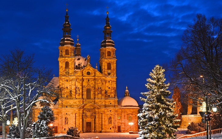 Fuldaer Dom im Winter mit Schnee und Weihnachtsbaum bei Nacht