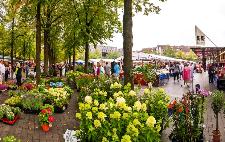 Wochenmarkt Venlo