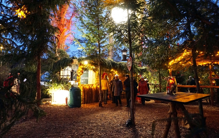 Weihnachtszauber Schloss Bückeburg, Deutschland